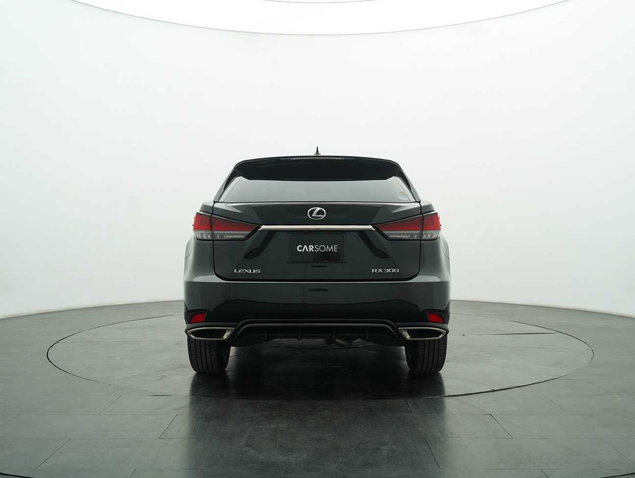 used 2019 Lexus RX300 F SPORT 2.0