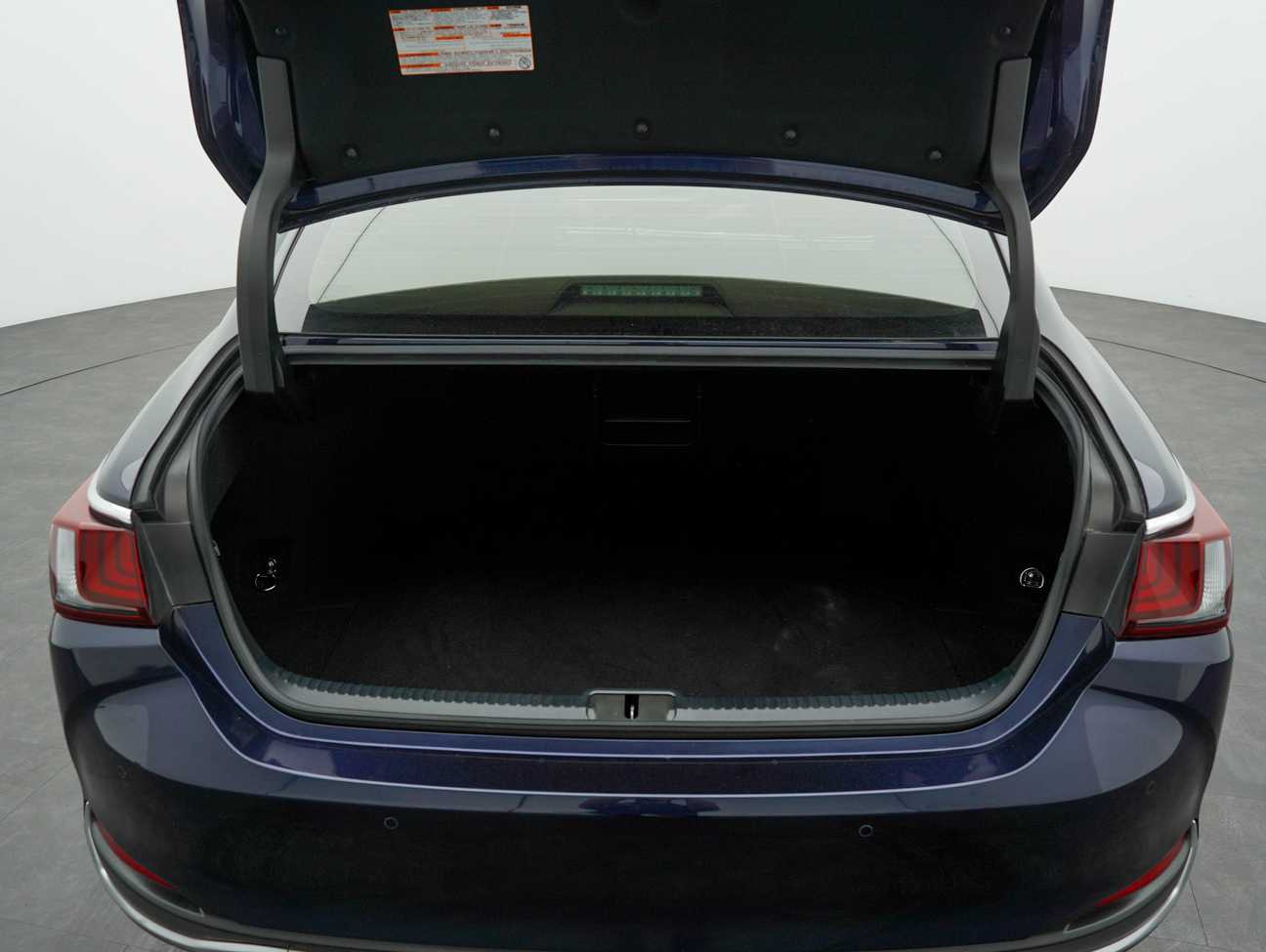 used 2019 Lexus ES250 LUXURY 2.5