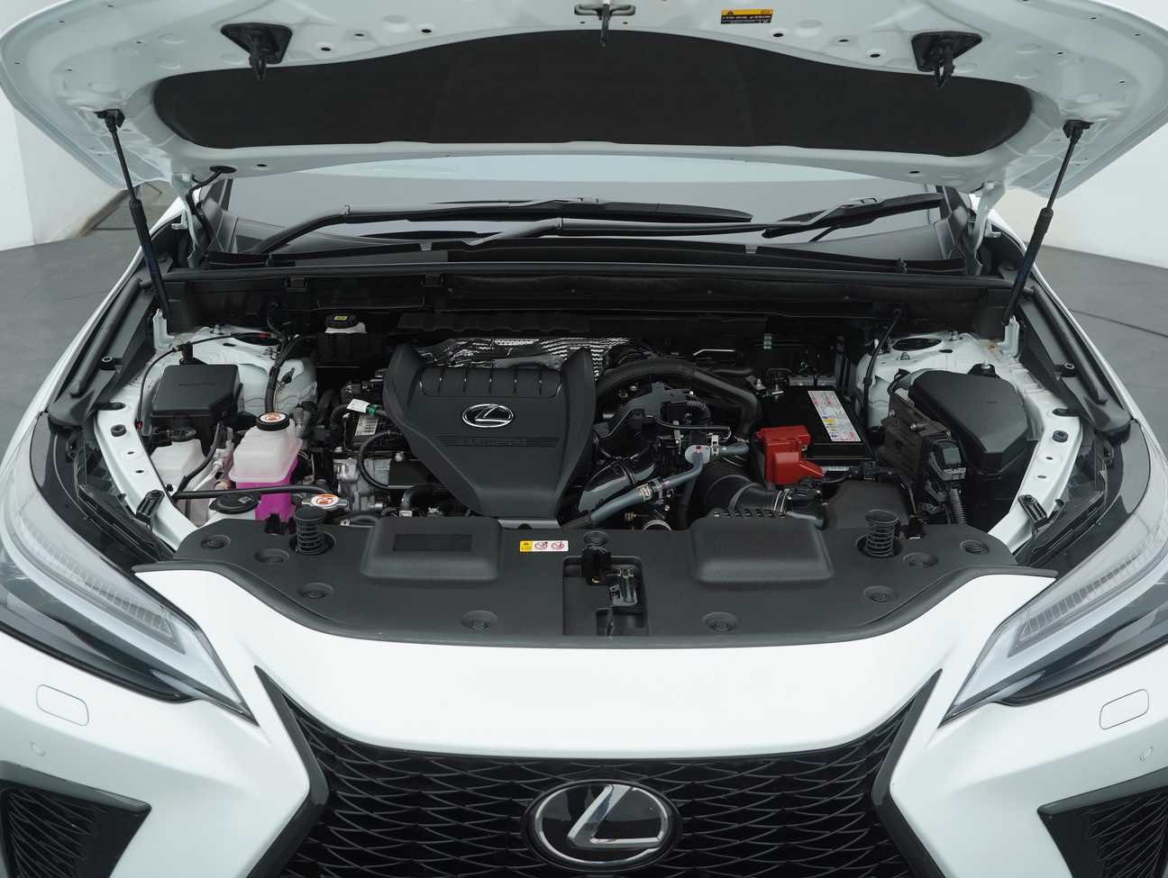 used 2023 Lexus NX350 F Sport 2.4