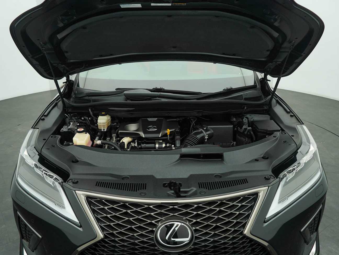 used 2019 Lexus RX300 F SPORT 2.0